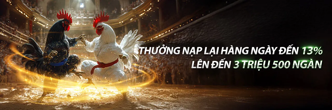 Đá Gà KE9F Trực Tuyến 2026