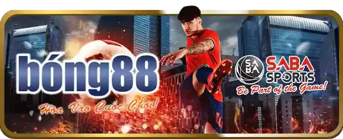 Cá cược Esports tại ke9f